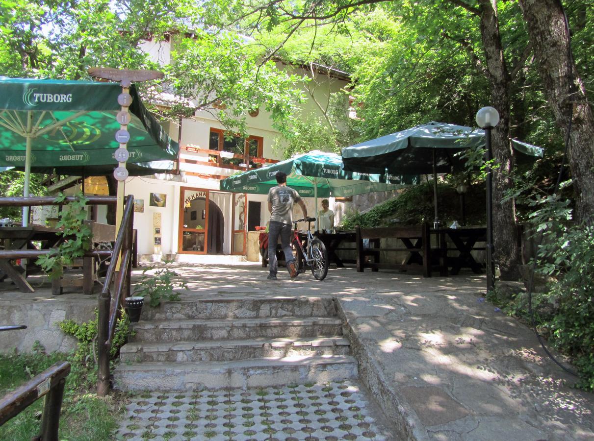 Vulture Centre Eastern Rhodopes Villa Madzharovo Rom bilde